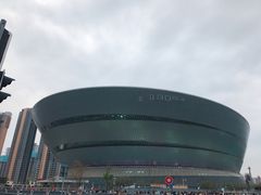 -成都金融城演艺中心