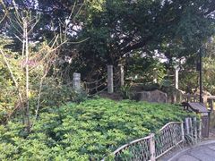 -乌山风景区