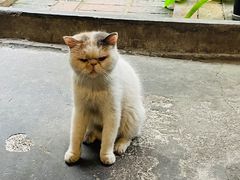 -下面馆