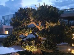 -外滩·云南人家(昆明旗舰店)