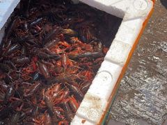 -红星农贸综合市场