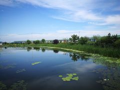 -哈尔滨波塞冬海底世界