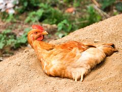 -南京金牛湖风景区