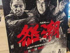 -金逸影城(大悦城IMAX激光店)