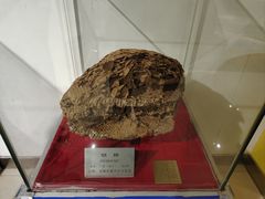 -上海昆虫博物馆