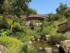 -云溪植物园