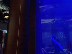 -迪拜帆船酒店海底餐厅