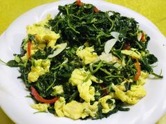 -煲来饱去冷水鱼