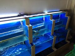 水产区-零点餐厅(马神庙店)