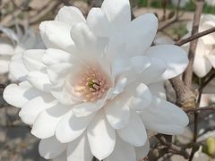 -国家植物园