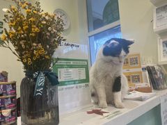 -悦宠凯宝动物医院·牙科·皮肤科(朝阳北路店)