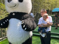 -陶祖圣境风景区