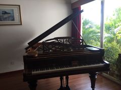 钢琴-鼓浪屿钢琴博物馆