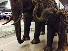 -英迪拉·甘地国际机场