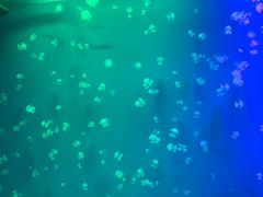 -福州罗源湾海洋世界旅游区