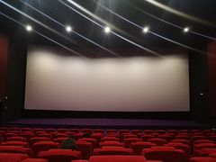 -保利国际影城杭州中南店