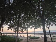 -天津金海湖