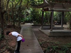 -大屏嶂森林公园