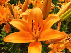 -长春公园(普阳街道)