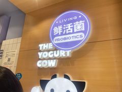 -一只酸奶牛(东方广场店)