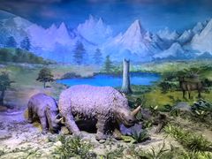 -中国第四纪冰川遗迹陈列馆