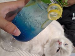 -瞄一喵猫咖(格力海岸店)