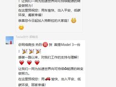 -TESLA 特斯拉(广州天环广场体验店)