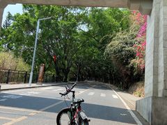 -红花湖景区