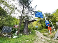 -黑河国家森林公园