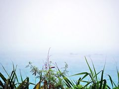 -七星潭蓝天广场