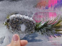 -宁波冰雪大世界(北仑区)