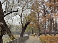 -长春市南湖公园