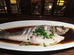-七菜馆·东北菜·蒸饺(文体路店)