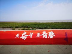 -南汇嘴观海公园