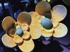 -Nathalie Djurberg与Hans Berg“牛皮纸包裹的月亮”-Prada荣宅当季展览