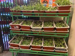 -東城故事·尋找姆媽的味道(玉兰路店)