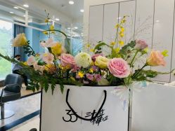 -YESIDO椰岛造型