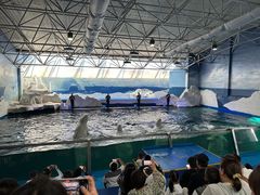 -秦皇岛乐岛海洋王国