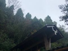 -千岛湖龙川湾