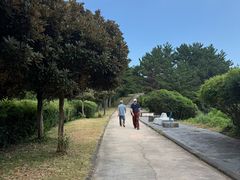-柱状节理带
