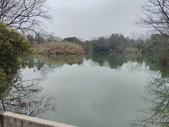 -西溪国家湿地公园