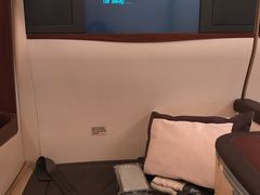 -新加坡航空公司(ION)