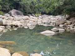 -霸王岭国家森林公园