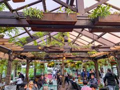 -The Grounds of Alexandria