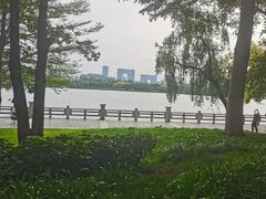 -海珠湖公园