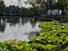 -无锡蠡湖国家湿地公园-蠡园