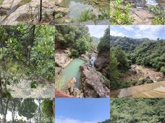 -广州白江湖森林公园