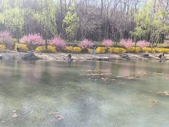 -云岗森林公园