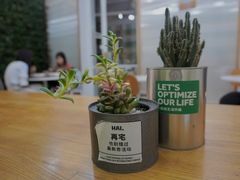-Green Option(官舍店)