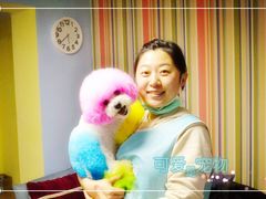 -可爱是宠物(容辰庄园店)